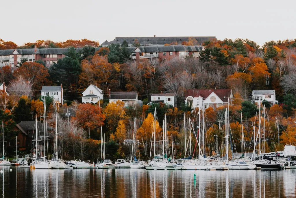 Photo by Jan Walter Luigi on Unsplash
