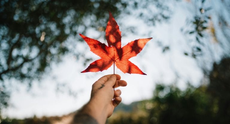 silvestri-matteo-gLHX4AgImz0-unsplash