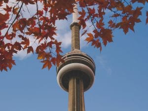 Dịch Vụ Đón Sân Bay & Làm Giấy Tờ Ban Đầu