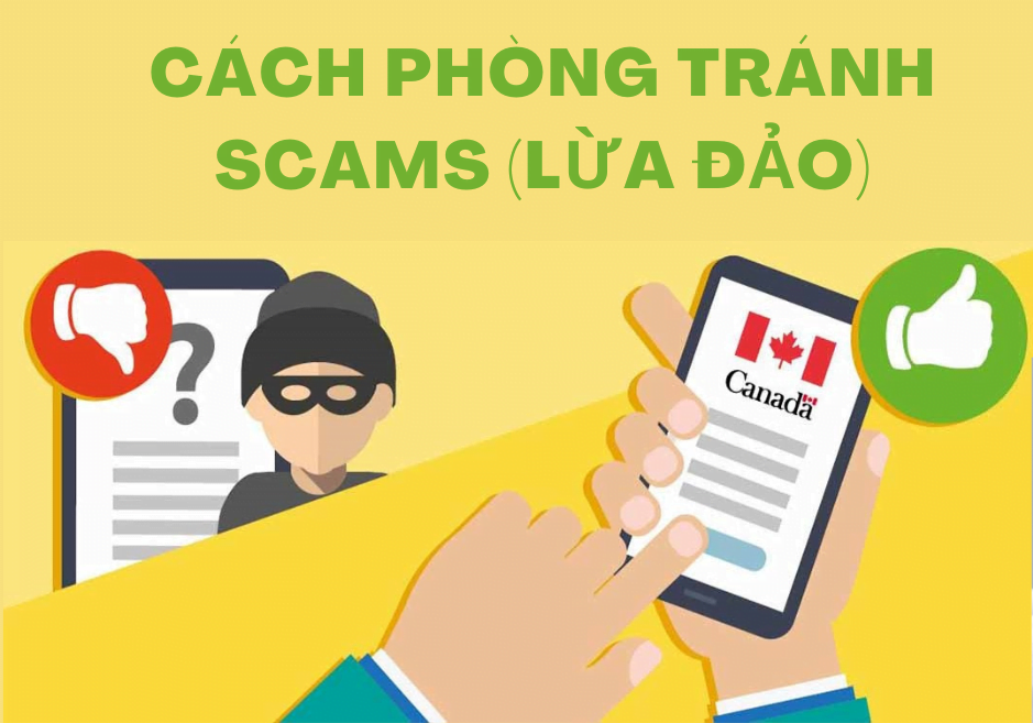 5 scam 1 - TTN immigration